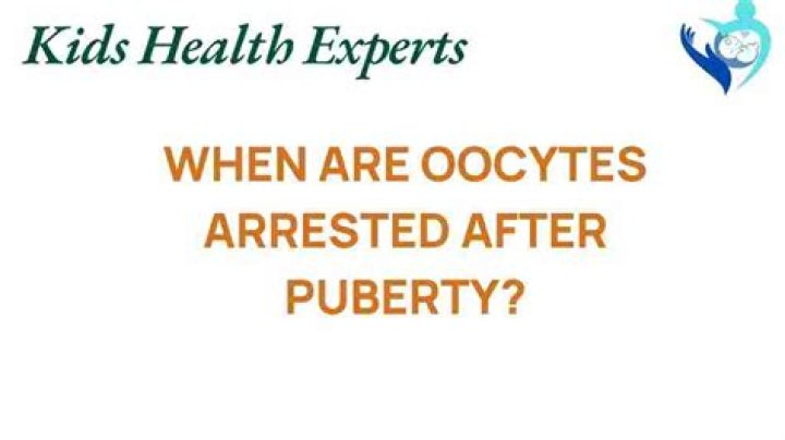 When are oocytes arrested?
