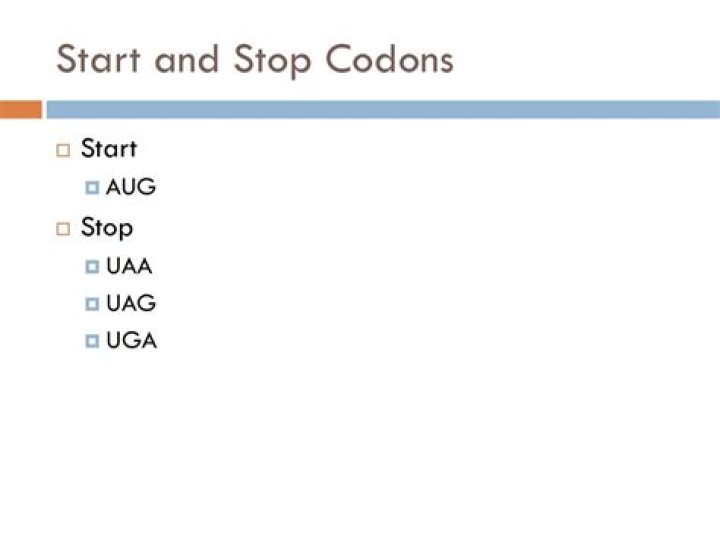 When are start and stop codons important?