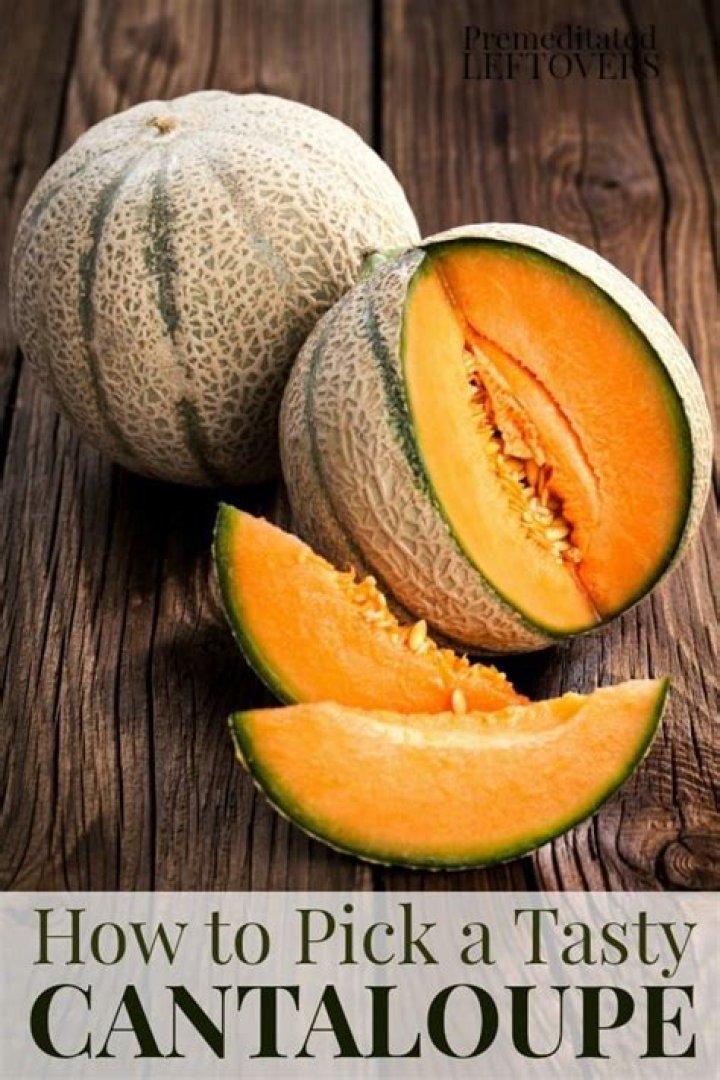 When cantaloupe ready to eat?