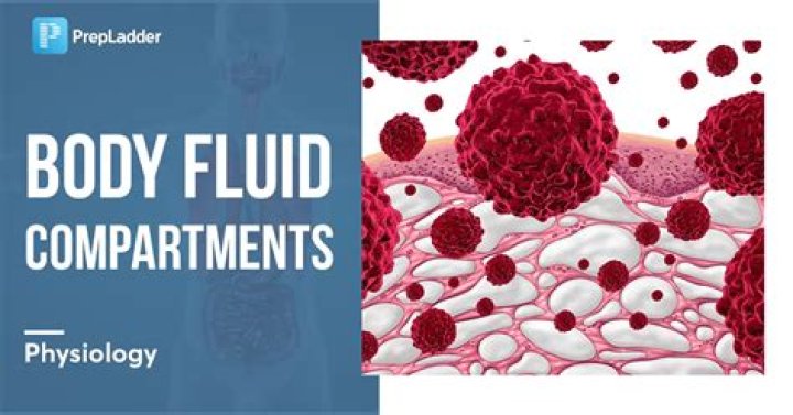 When contact with bodily fluids is possible?
