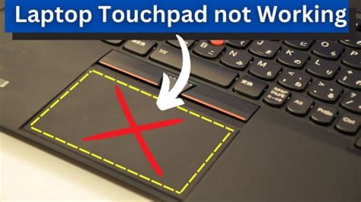 When cursor of laptop is not working?