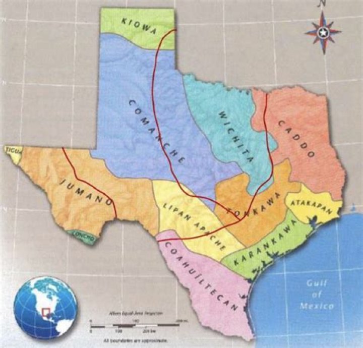 When did chungha live in texas?