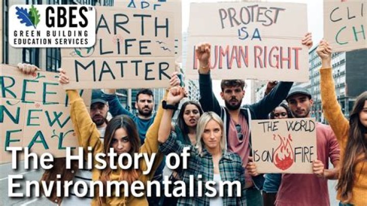 When did environmentalism become mainstream?