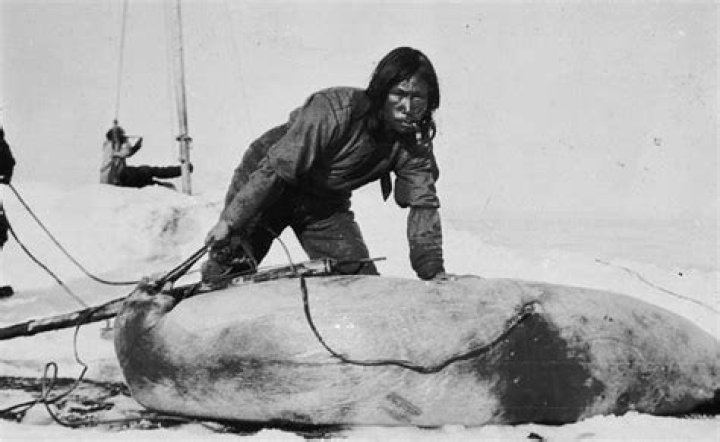 When did inuit arrive in canada?