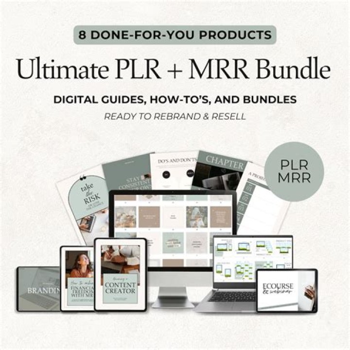 When did plr start?