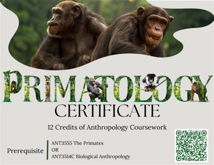 When did primatology begin?