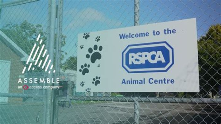 When did the rspca first start?