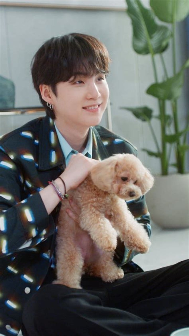 When did yoongi get holly?