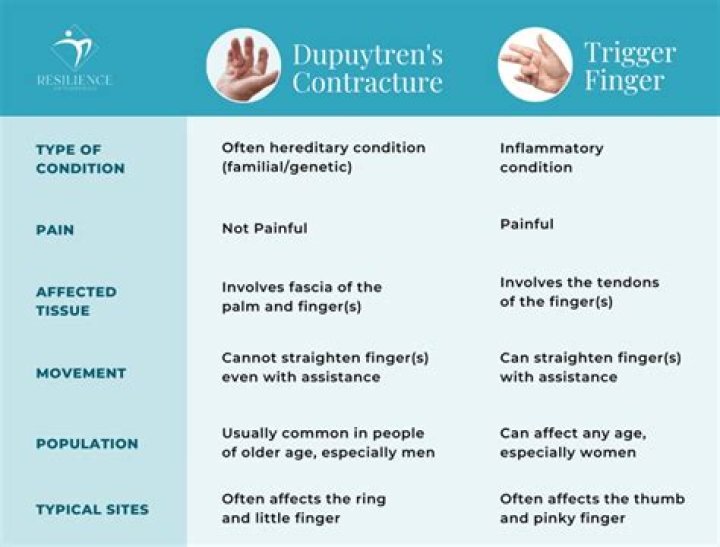 When do contractures occur?