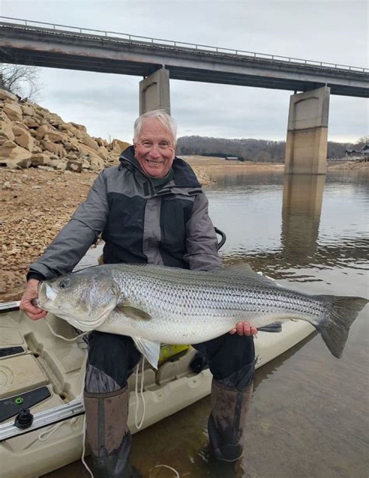 When do landlocked stripers spawn?