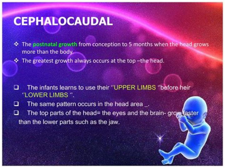 When does cephalocaudal development occur?