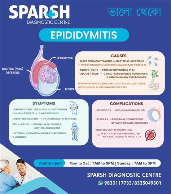 When does epididymitis go away?