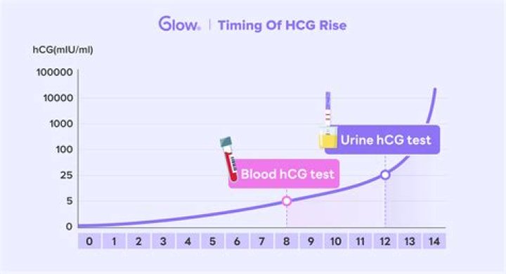 When does hcg start to rise?