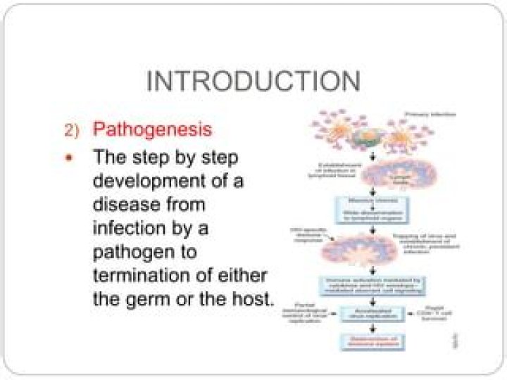 When does pathogenesis begin?