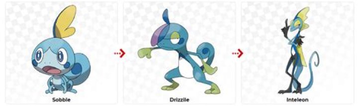 When does sobble evolve?