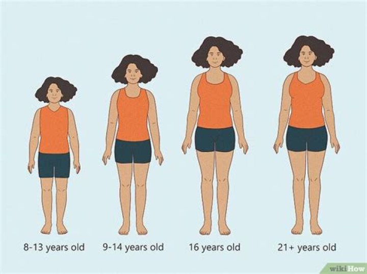 When does your torso stop growing?