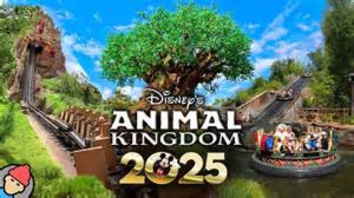 When is animal kingdom returning?