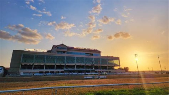 When is live racing at retama park?