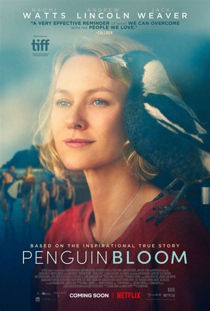 When is penguin bloom on netflix?