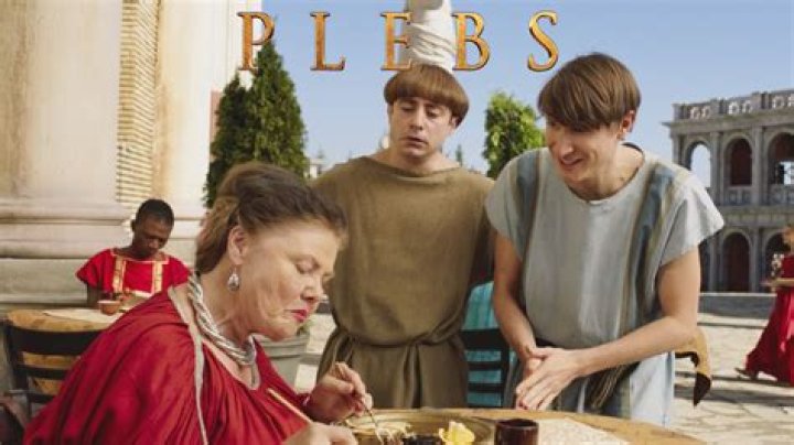 When is plebs on tv 2020?
