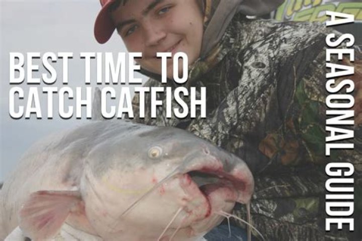 When is the best time to catch catfish?