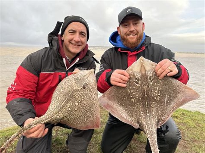 When is the best time to fish for thornback ray?