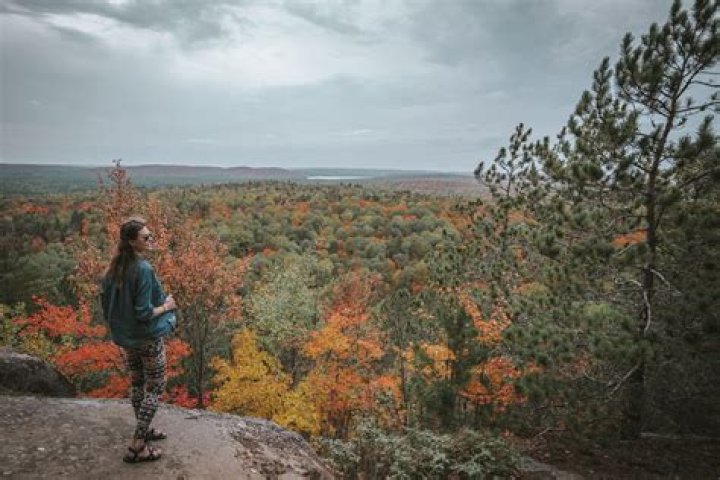 When is the best time to visit algonquin park?