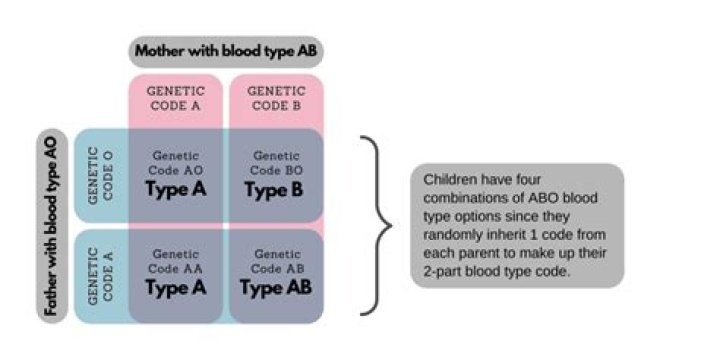 When is your blood type determined?