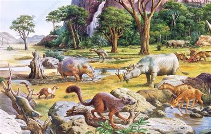 When mammals became dominant?