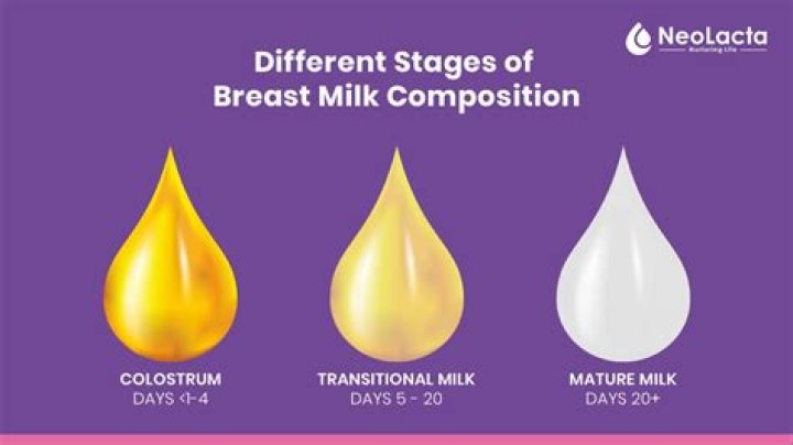 When milk comes from breast in pregnancy?