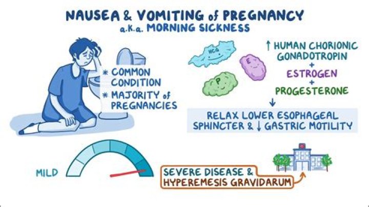 When nausea and vomiting start in pregnancy?