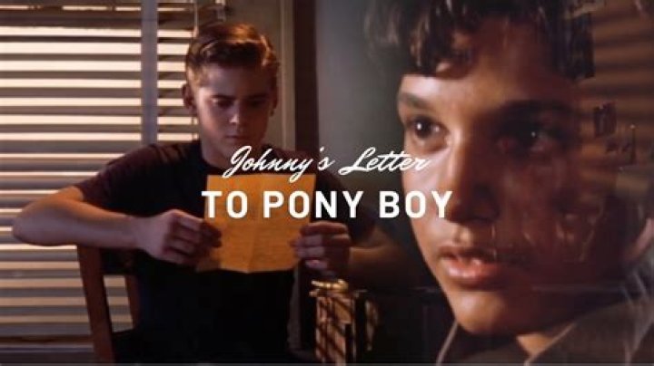 When ponyboy wakes up why is johnny gone?