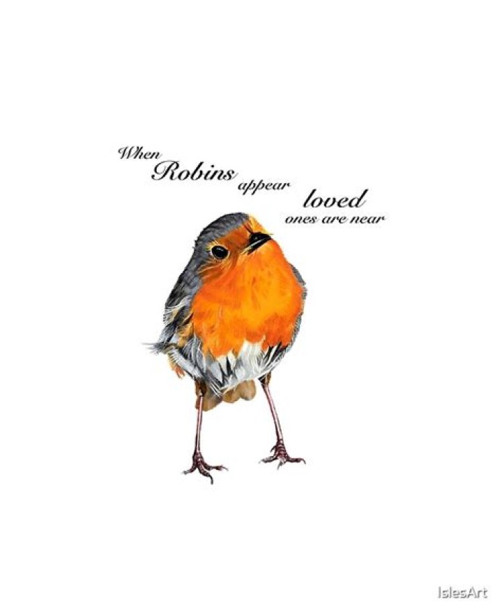 When robins are near?