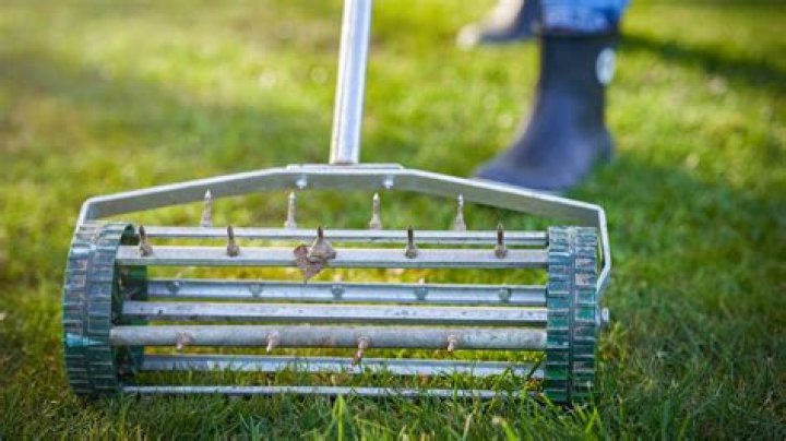 When should i overseed in the fall?