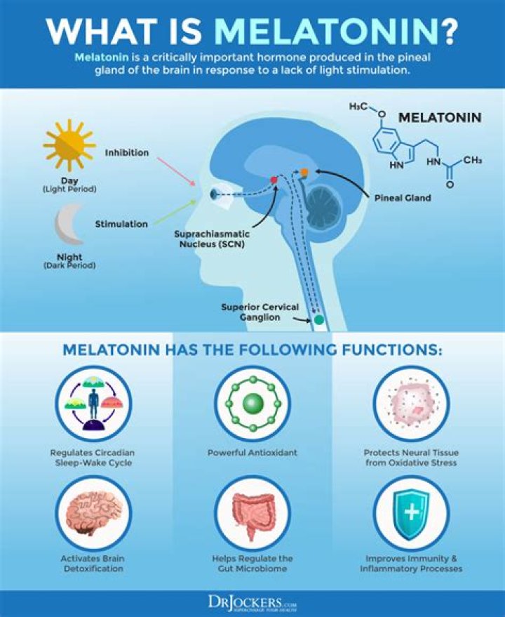 When should you take a melatonin?