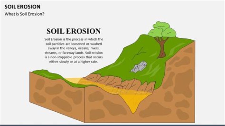 When soil erosion occurs?