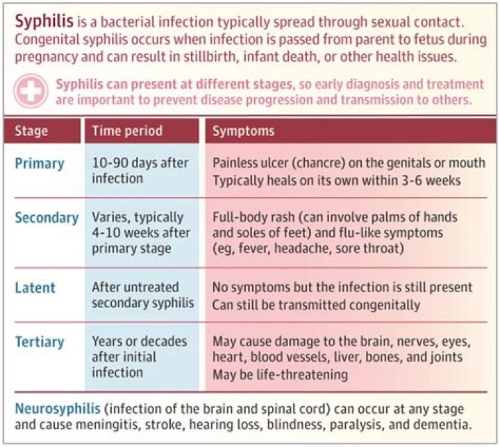When syphilis is contagious?