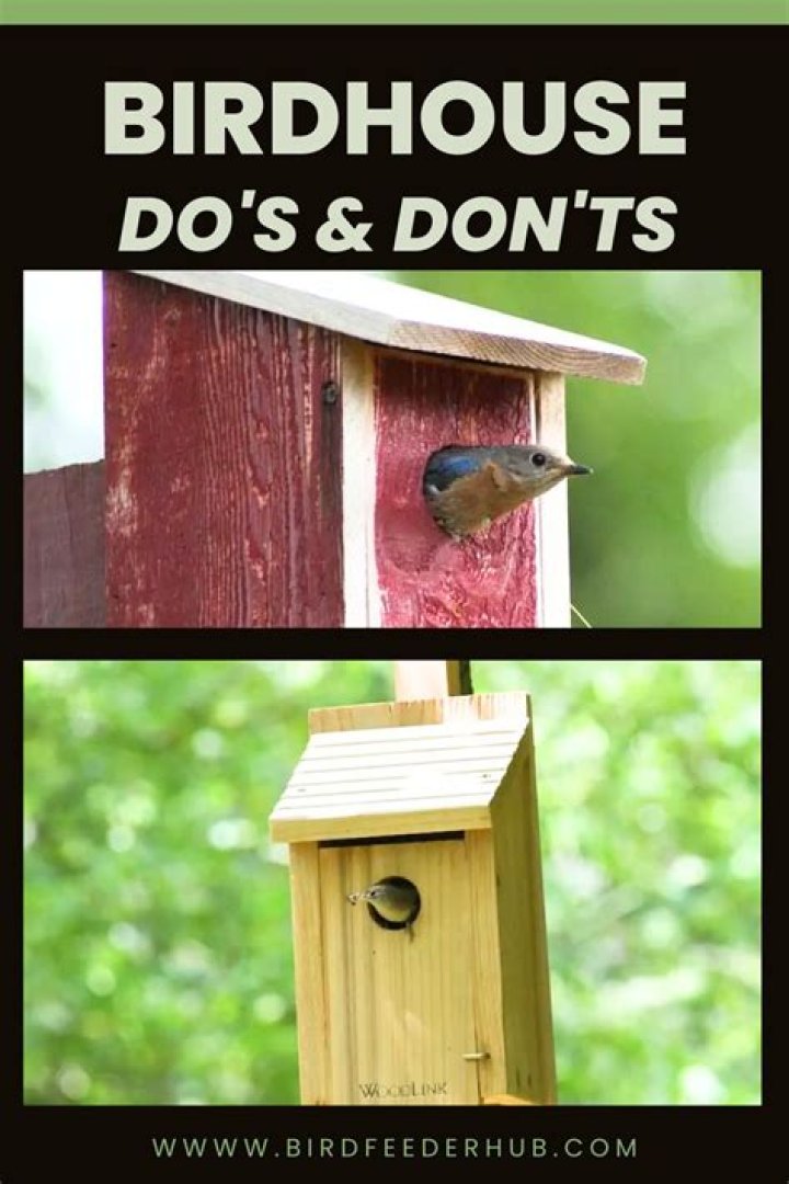 When to clean birdhouses?