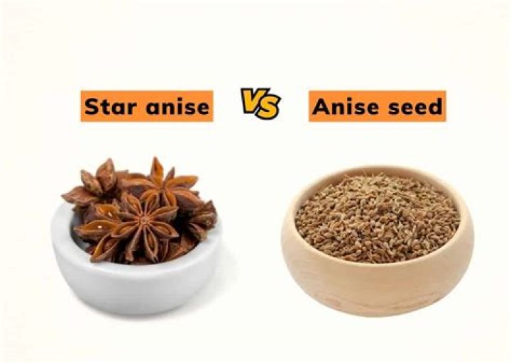 When to plant anise?