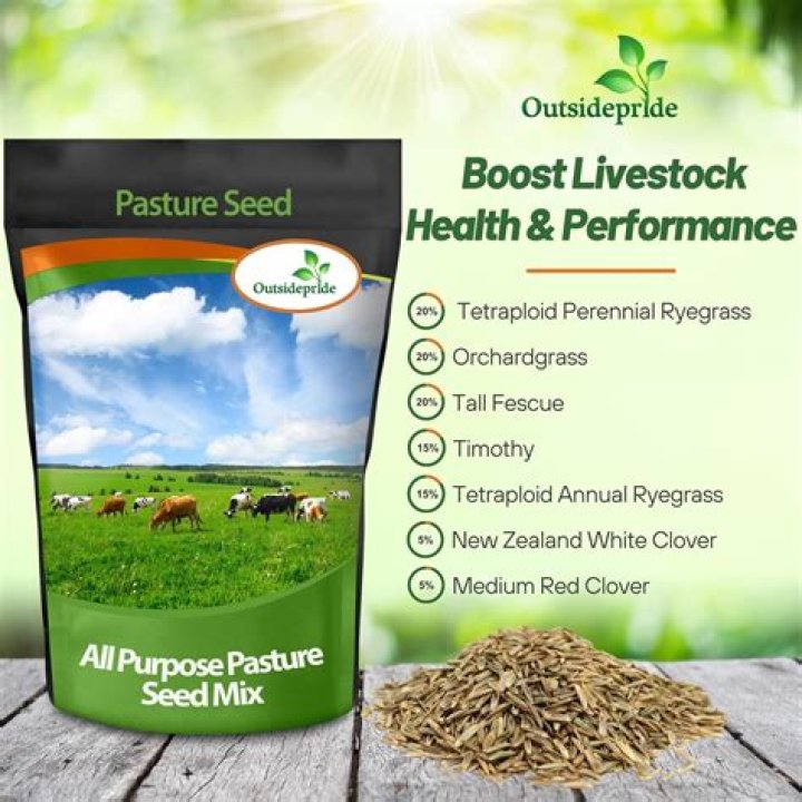 When to plant pasture seed?