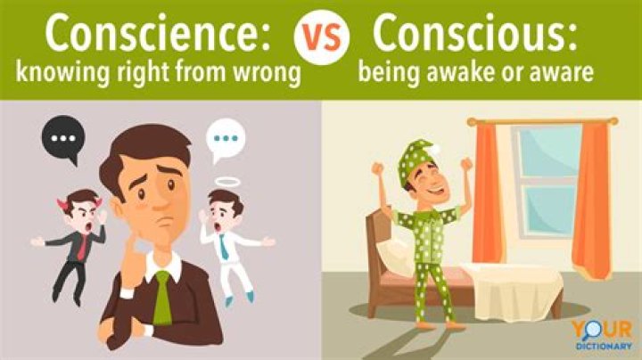 When to use cognisance?