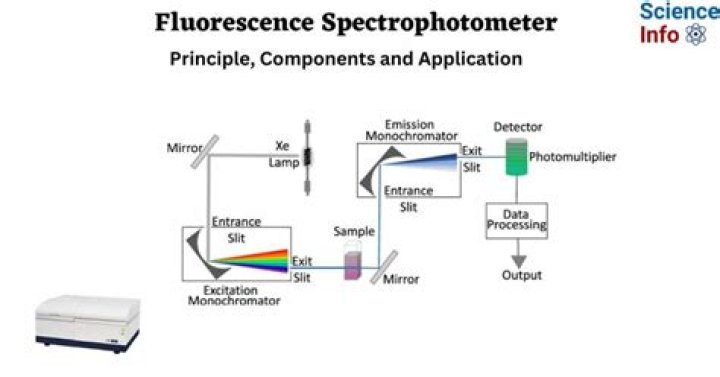 When to use spectrofluorometer?