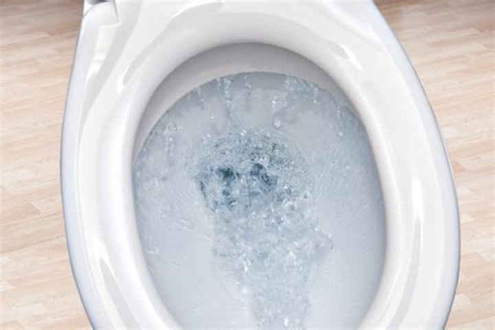 When toilet flushes bathtub gurgles?