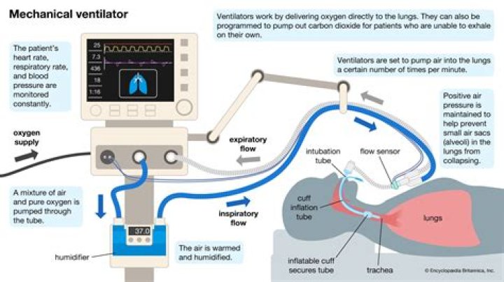 When ventilator is required oxygen level?