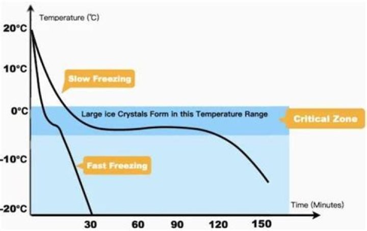 When was blast freezing invented?