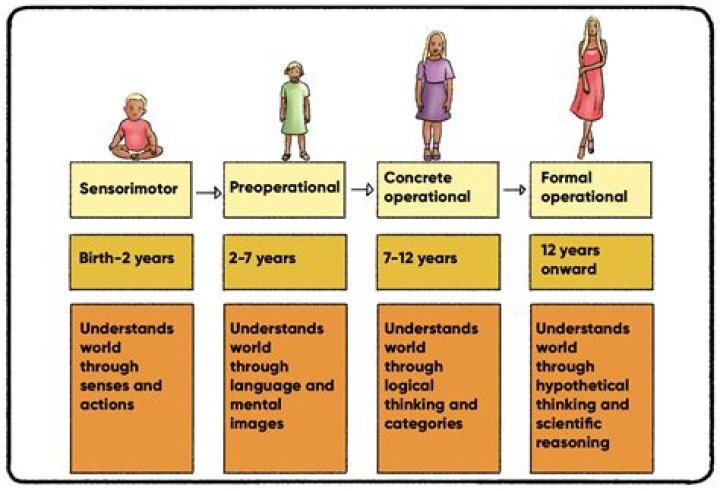 When was functionalist theory developed?