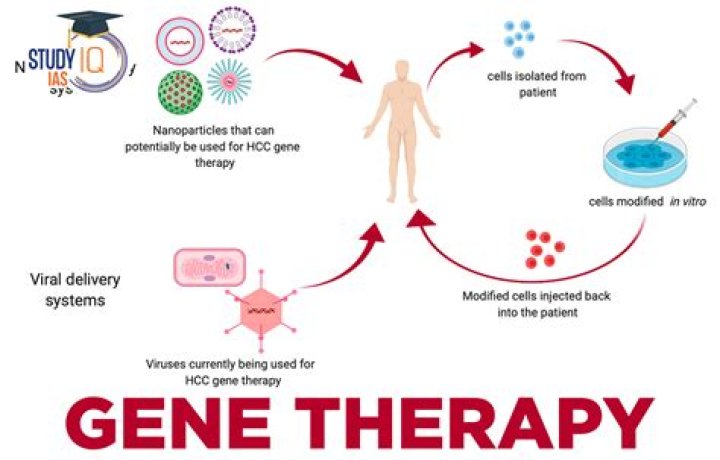 When was gene therapy introduced?