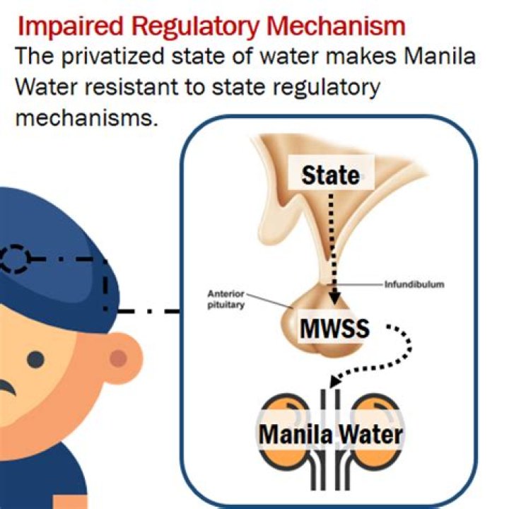 When was privatized established?
