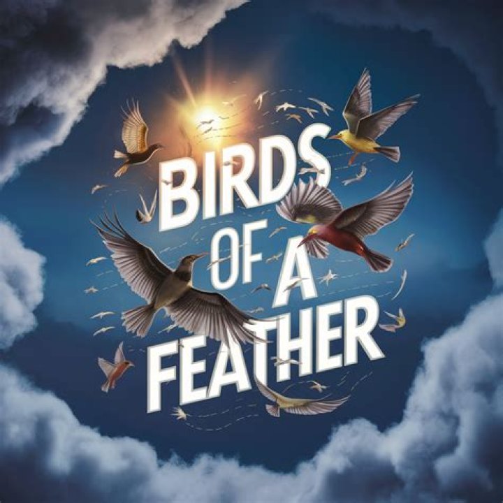 When was sugar rush birds of a feather filmed?