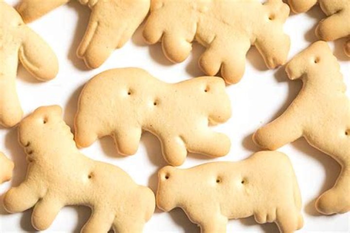 When were animal crackers invented?